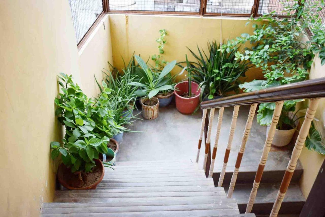 Family Guest House Βαρανάσι Εξωτερικό φωτογραφία